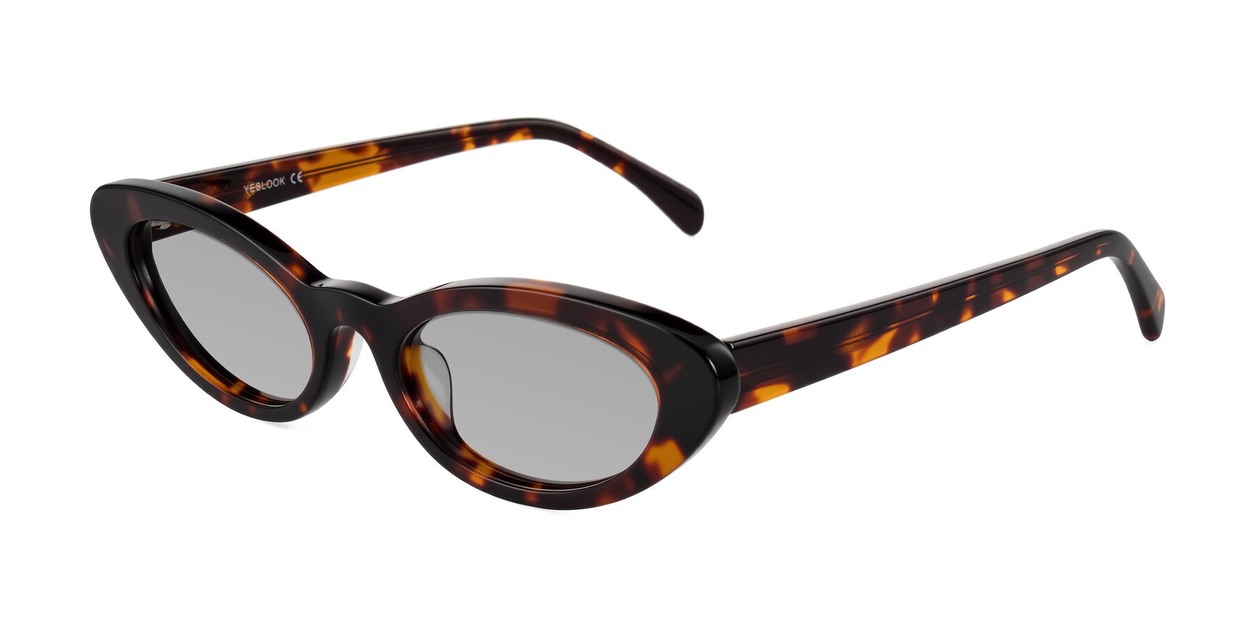 Angle of Baggot in Tortoise with Light Gray Tinted Lenses