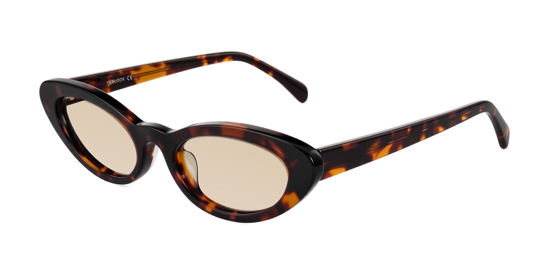 Angle of Baggot in Tortoise with Light Brown Tinted Lenses