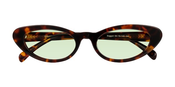 Front of Baggot in Tortoise
