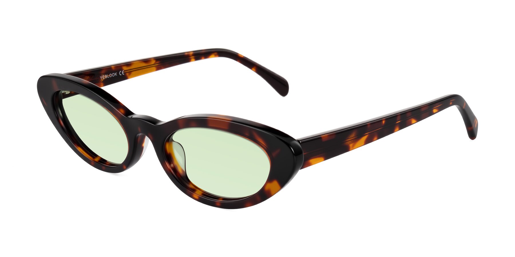 Angle of Baggot in Tortoise with Light Green Tinted Lenses