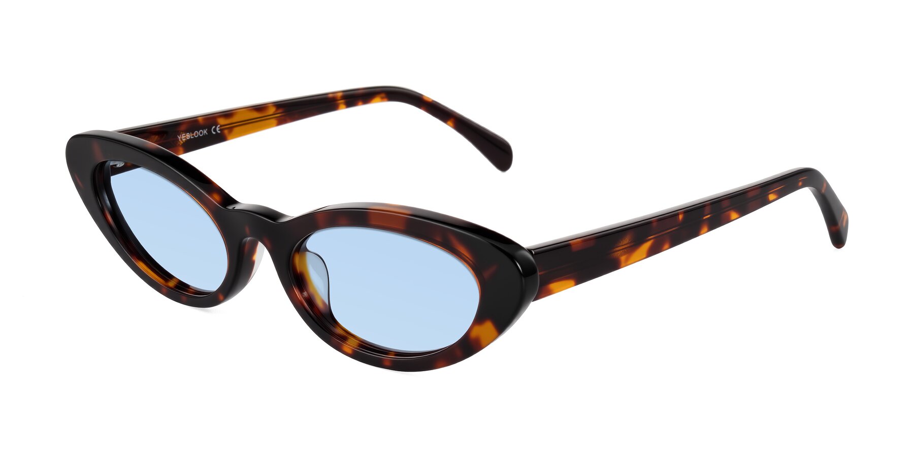 Angle of Baggot in Tortoise with Light Blue Tinted Lenses