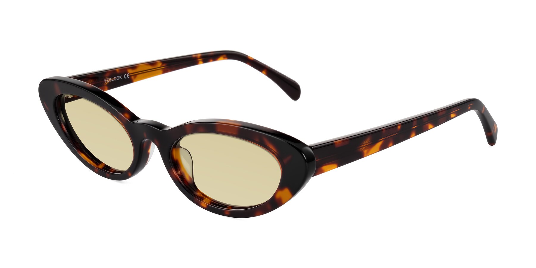 Angle of Baggot in Tortoise with Light Champagne Tinted Lenses