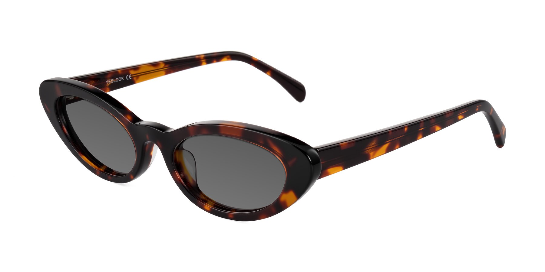 Angle of Baggot in Tortoise with Medium Gray Tinted Lenses