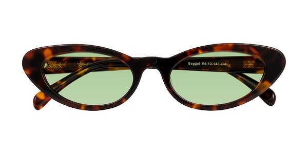 Front of Baggot in Tortoise