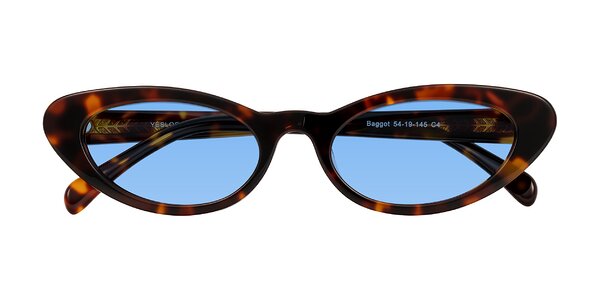 Front of Baggot in Tortoise