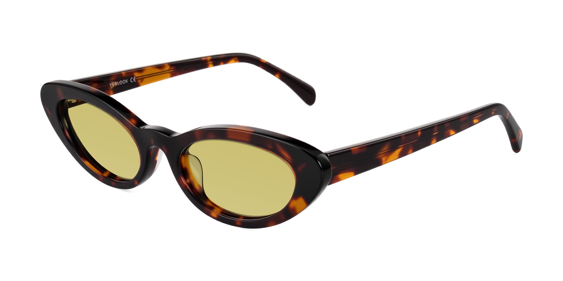 Angle of Baggot in Tortoise with Medium Champagne Tinted Lenses