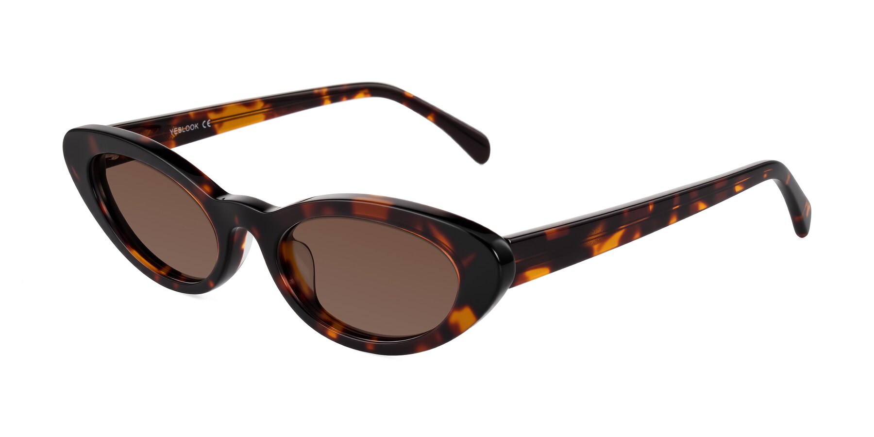 Angle of Baggot in Tortoise with Brown Tinted Lenses