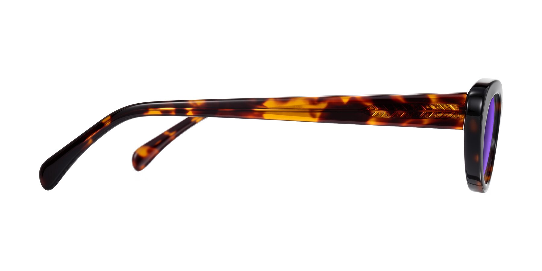 Side of Baggot in Tortoise with Purple Tinted Lenses