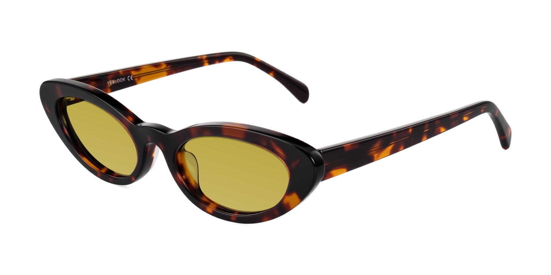 Angle of Baggot in Tortoise with Champagne Tinted Lenses