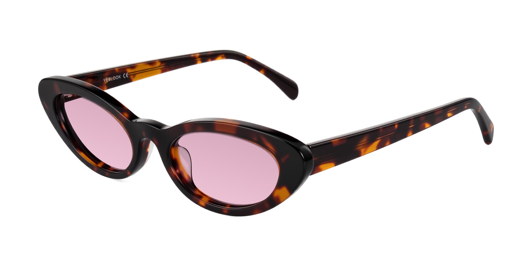 Angle of Baggot in Tortoise with Light Wine Tinted Lenses