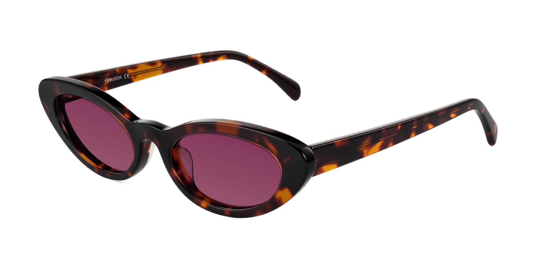 Angle of Baggot in Tortoise with Wine Tinted Lenses
