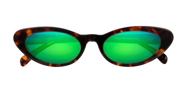 Front of Baggot in Tortoise