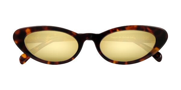 Front of Baggot in Tortoise