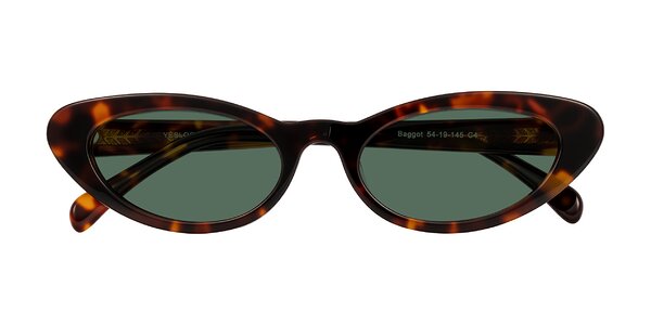 Front of Baggot in Tortoise