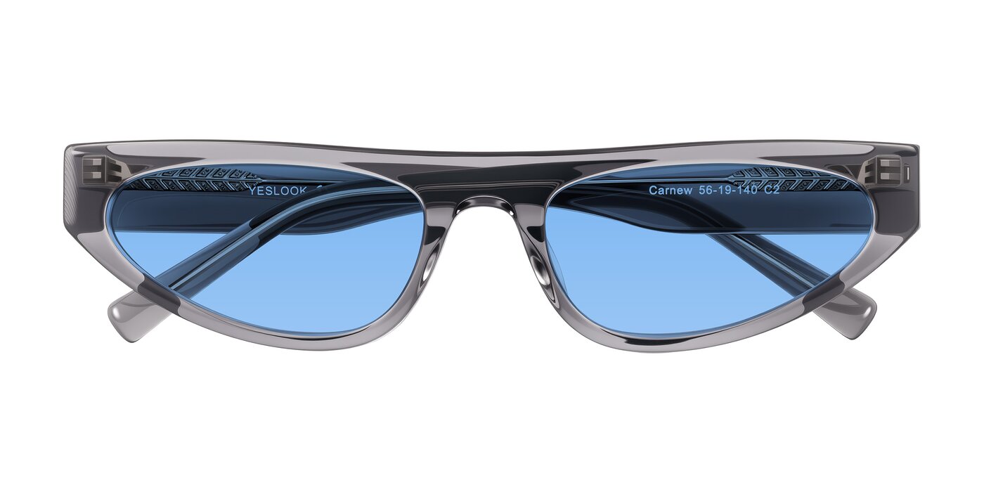Carnew - Transparent Gray Tinted Sunglasses