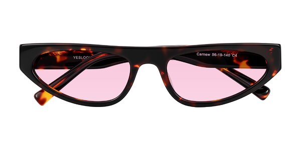 Front of Carnew in Tortoise