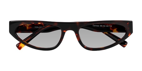 Front of Carnew in Tortoise