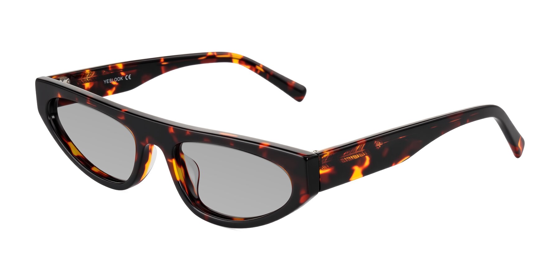 Angle of Carnew in Tortoise with Light Gray Tinted Lenses