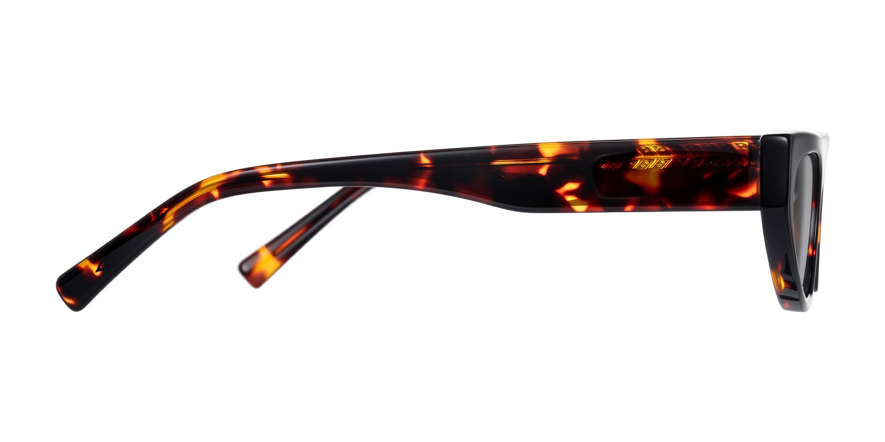 Side of Carnew in Tortoise with Light Gray Tinted Lenses