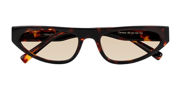 Front of Carnew in Tortoise