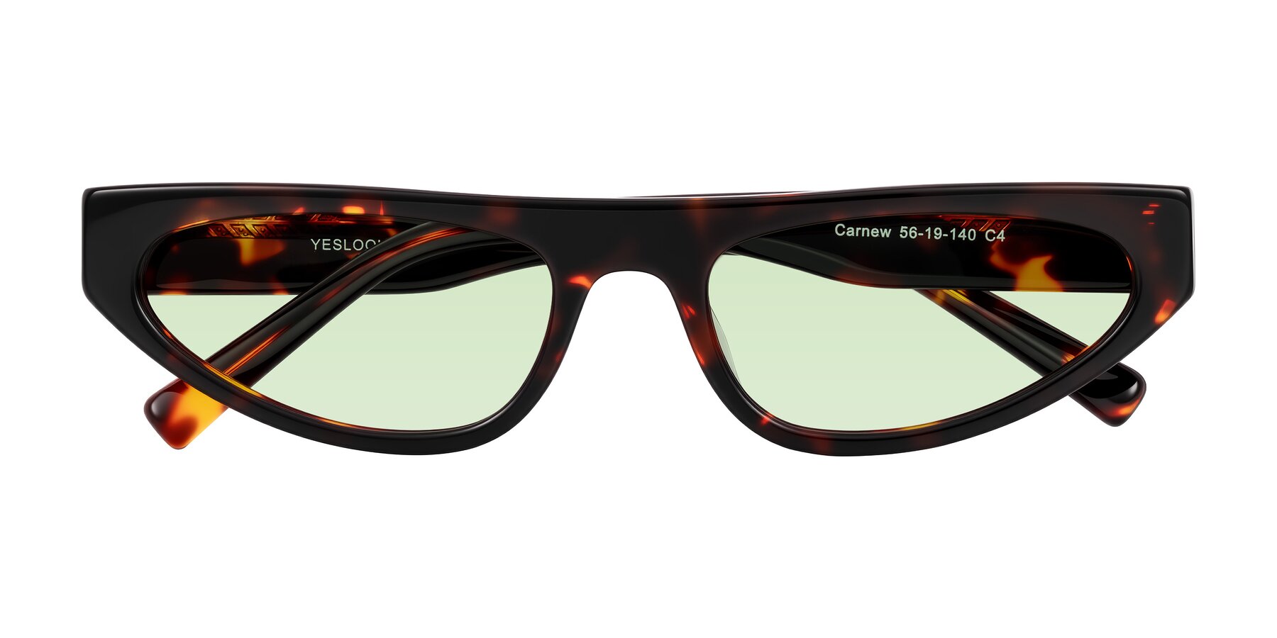 Folded Front of Carnew in Tortoise with Light Green Tinted Lenses
