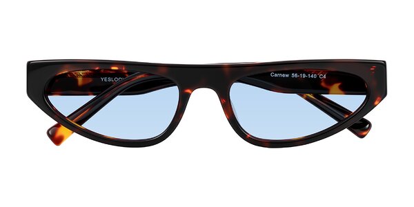 Front of Carnew in Tortoise