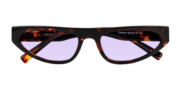 Front of Carnew in Tortoise