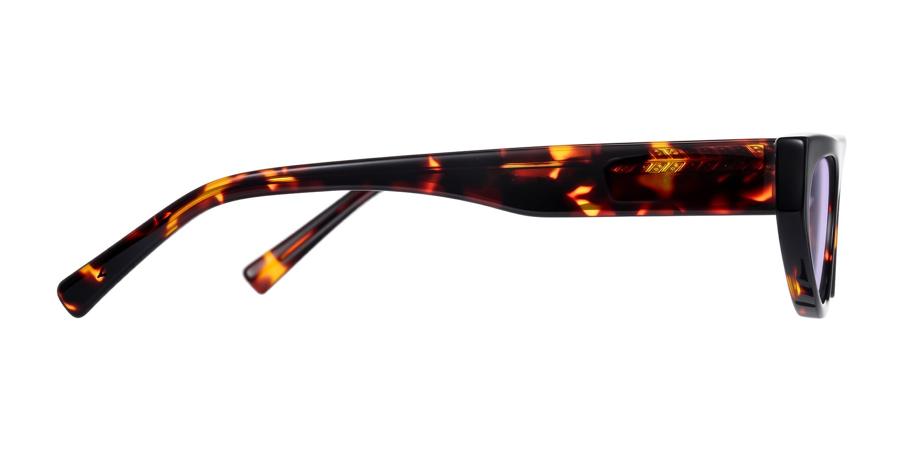 Side of Carnew in Tortoise with Light Purple Tinted Lenses