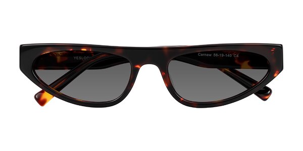 Front of Carnew in Tortoise