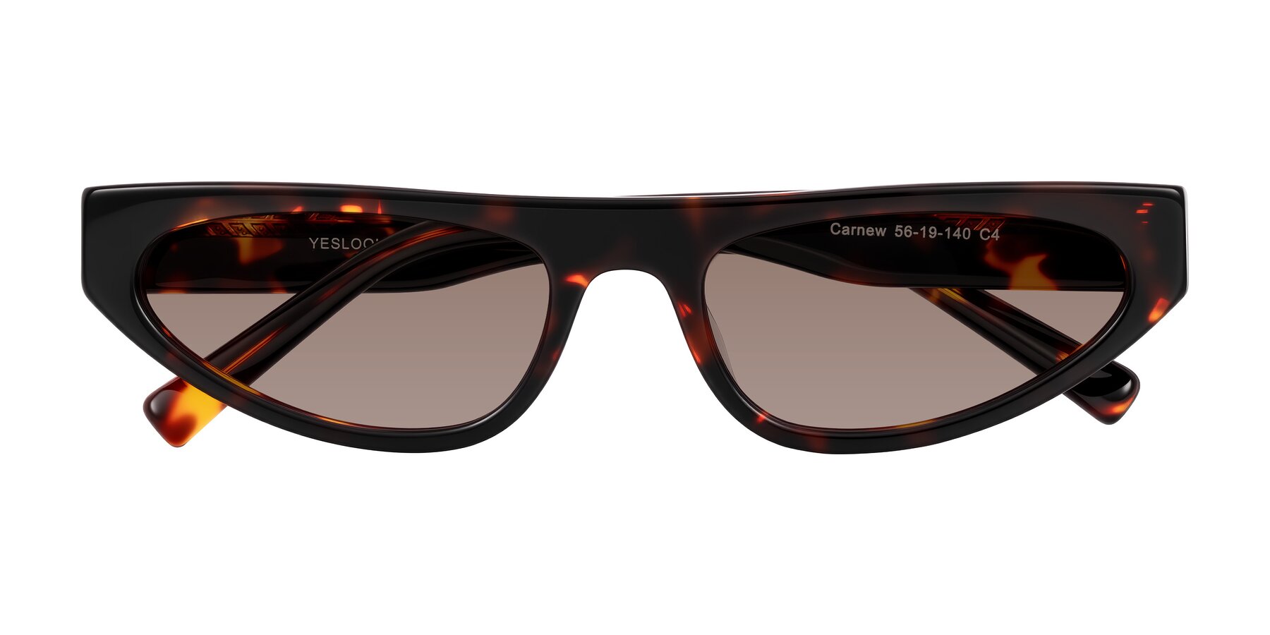 Folded Front of Carnew in Tortoise with Medium Brown Tinted Lenses
