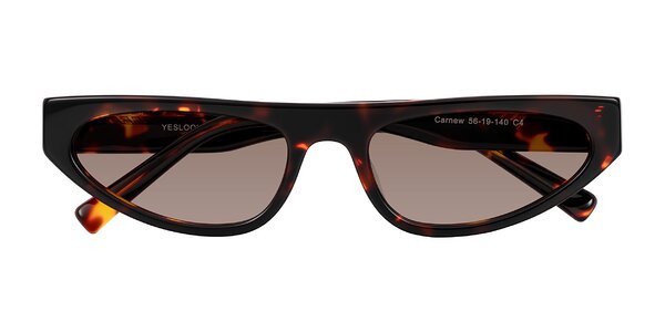 Front of Carnew in Tortoise