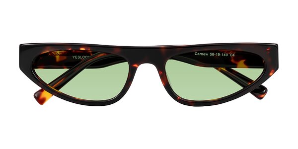 Front of Carnew in Tortoise