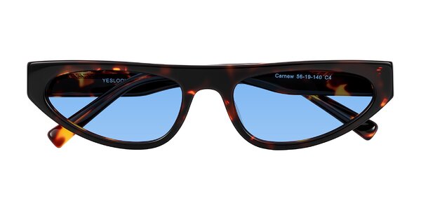 Front of Carnew in Tortoise