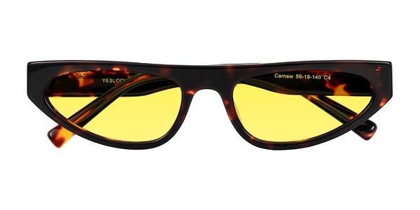 Front of Carnew in Tortoise