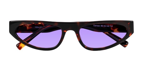 Front of Carnew in Tortoise