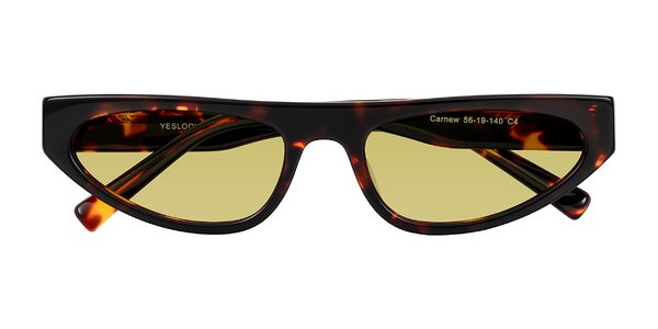 Front of Carnew in Tortoise