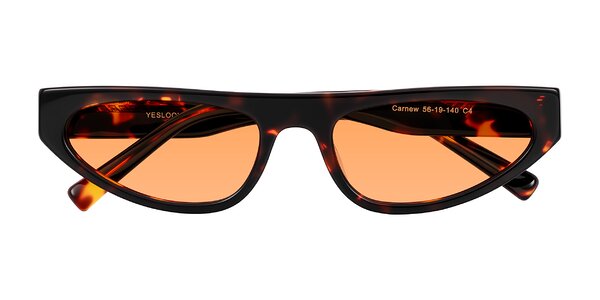 Front of Carnew in Tortoise