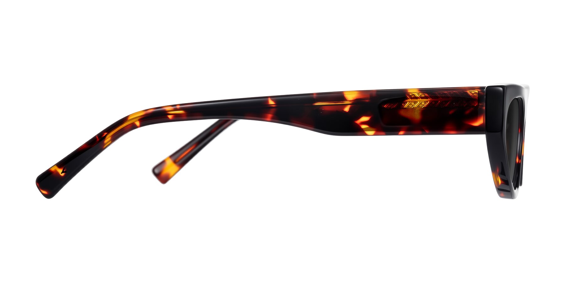 Side of Carnew in Tortoise with Gray Tinted Lenses