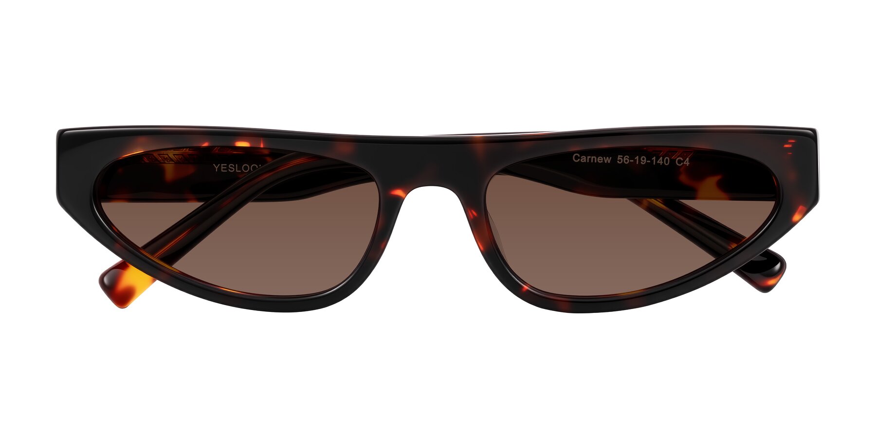 Folded Front of Carnew in Tortoise with Brown Tinted Lenses
