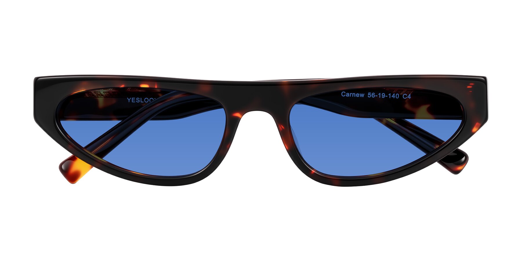 Folded Front of Carnew in Tortoise with Blue Tinted Lenses