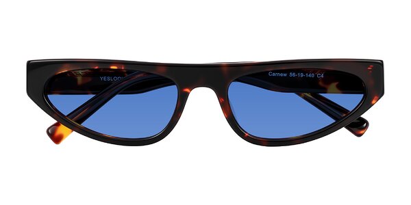 Front of Carnew in Tortoise
