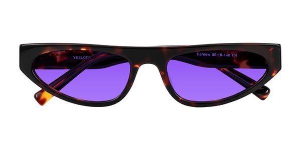 Front of Carnew in Tortoise