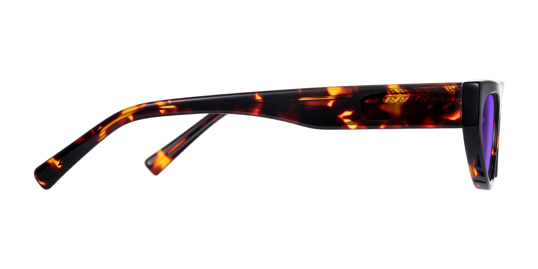 Side of Carnew in Tortoise with Purple Tinted Lenses