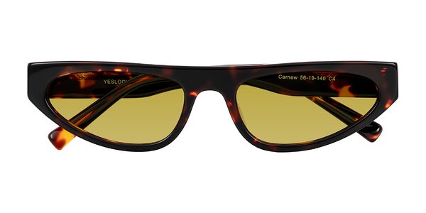 Front of Carnew in Tortoise