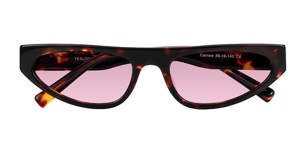 Front of Carnew in Tortoise