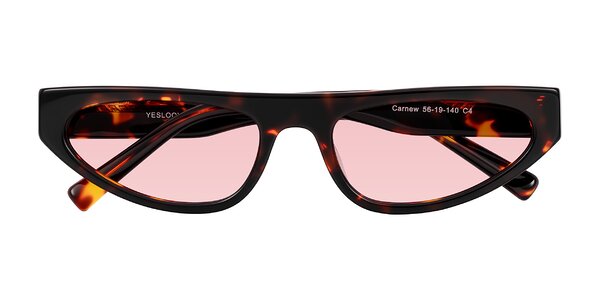 Front of Carnew in Tortoise