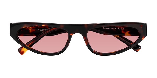 Front of Carnew in Tortoise