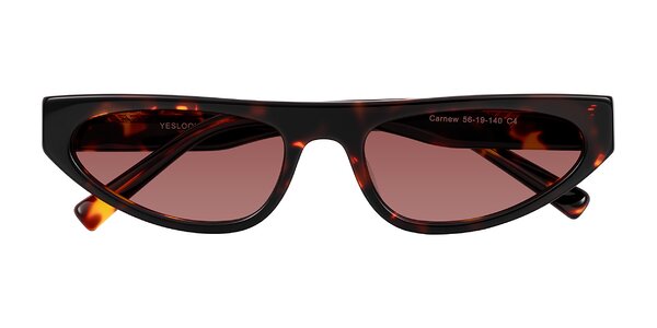 Front of Carnew in Tortoise