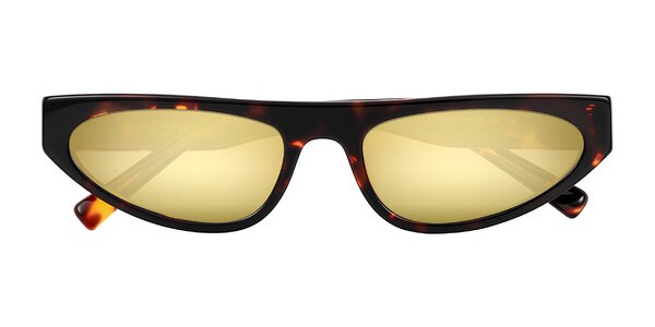 Front of Carnew in Tortoise