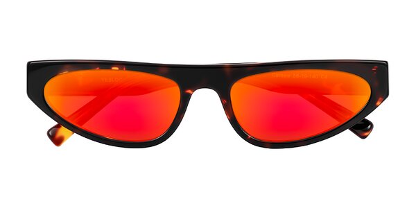 Front of Carnew in Tortoise